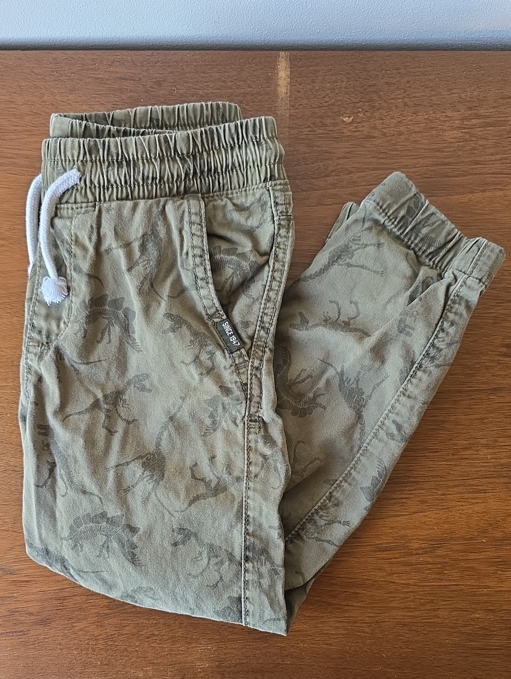 Kids H&M Olive Green Dino Print Jogger Pants